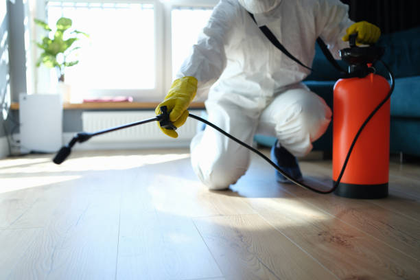 Trusted Trauma Scene Cleanup service in Mount Hermon, CA - Four Month Blood Cleanse